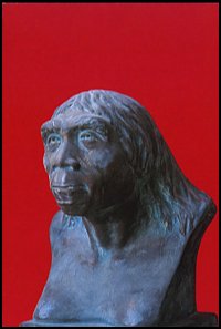 Całostka Cp_rv: Chiny