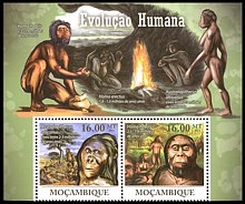 Parka znaczków: Mozambik 4469-4470