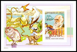 Blok_B: Czad 2254 w bloku 321 B