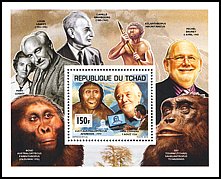 Blok: Czad 2624 w bl. 492