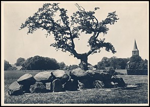 Całostka Cp_rv: Holandia P 226