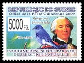 Znaczek: Gwinea 6571