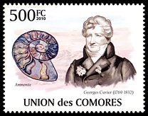 Znaczek: Komory 2642