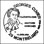 Kasownik: Montbéliard, 11.06.1989