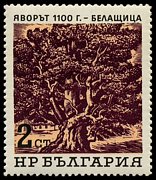 Znaczek: Bułgaria 1503