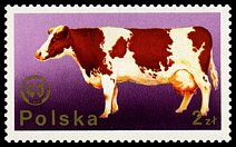 Znaczek: Polska 2381