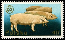 Znaczek: Polska 2384