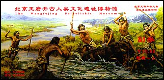 Całostka Cp_rv: Chiny (2004 r.)