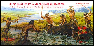 Całostka Cp_rv: Chiny (2004 r.)