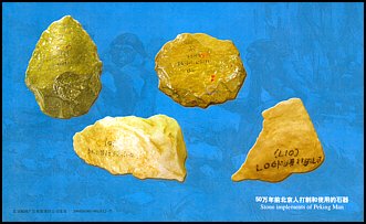 Całostka Cp_rv: Chiny