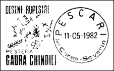 Kasownik: Pescari, 11.05.1982