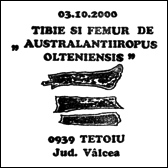 Kasownik: Tetoiu, 3.10.2000